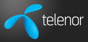 Telenor Pakistan champions in Diversity and Inclusion