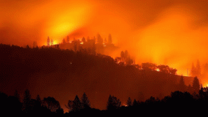 California wildfires