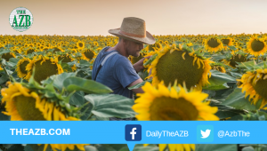 Sunflower growers