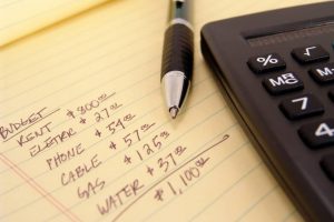 annual budget1