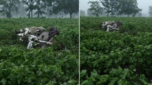 Indian Crash