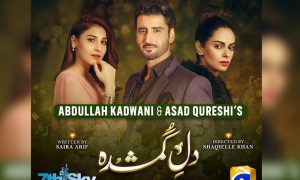 Dil-e-Gumshuda