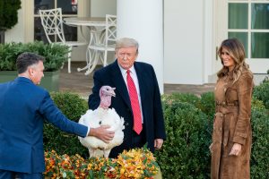 National-Thanksgiving-Turkey-11