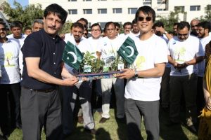 Tree Plantation Drive