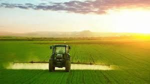 Agricultural Research