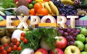 Export of fruits & vegetables