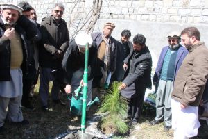 Plantation Drive