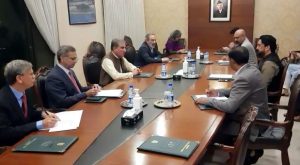 Govt making vigorous efforts to bring back overseas Pakistanis