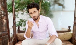 Kaasa-e-Dil