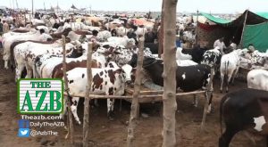 All Pakistan Livestock & Dairy Association (APLDA)