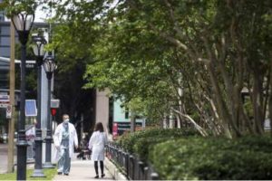 coronavirus numbers for Houston