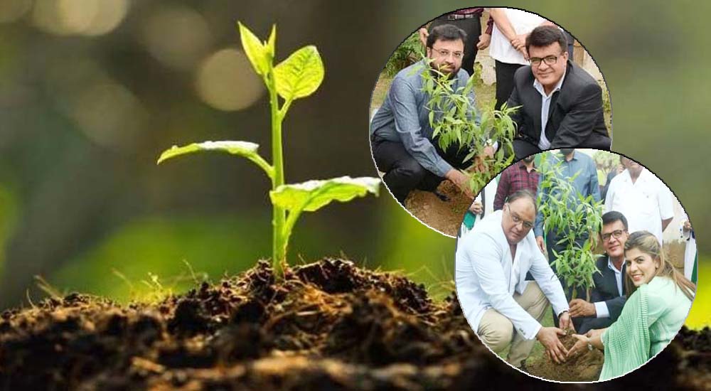 Rotary club platinum tree plantation on Independence Day.