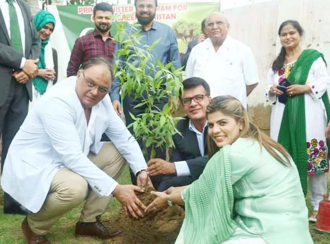 Rotary club platinum