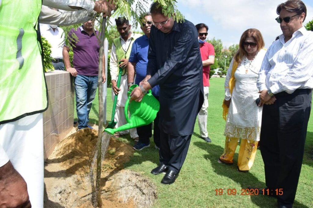 Tree Plantation drive