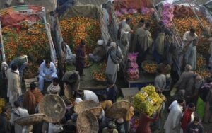 Hit the nail on the head