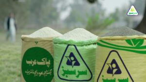 Sarsabz Fertilizer