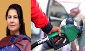 petroleum prices