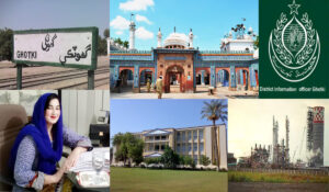 Capacity building and Training