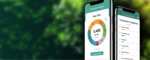 Carbon Calculator