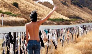 Cardrona Bra Fence