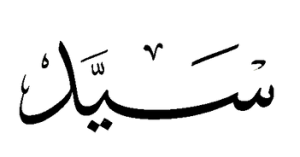 syed logo