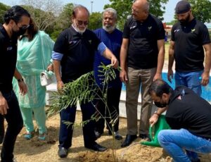 tree plantation activity