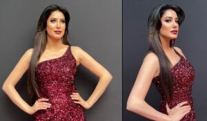 Mehwish Hayat