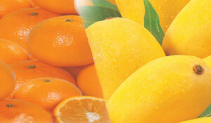 Kinnow & Mango