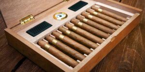 cigars humidor
