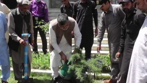 plantation drive at University of Chitral
