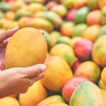 Why You Must Soak Mangoes in Water Before Eating