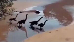 dinosaurs return to the world