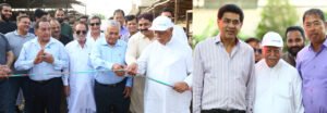 Bukhari Cattle Farm