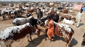 Eid-ul-Adha 2022