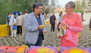 mango exports