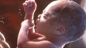 child-during-pregnancy