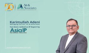 IP Expert Lawyer
