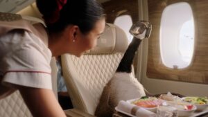 800_emirates-goose-12548-30-master-2022-08-04-fr439