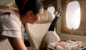 Emirates Fly Better
