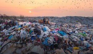 Solid Waste Management