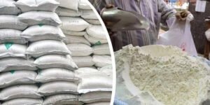 Flour Price