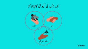TikTok Community Guidelines