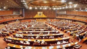 Govt-calls-emergency-NA-session-today-to-approve-controversial-LG-law