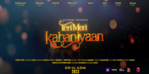 Teri Meri Kahaniyaan