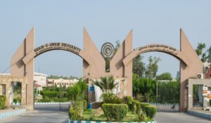 Quaid-e-Awam University
