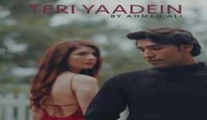 Teri Yaadein