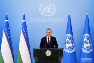 UN regional security issues