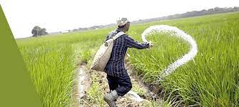 Crackdown against urea hoarders, smuggling brings farmers relief.