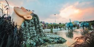 Explore Dubai's Open-Air Treasures (6)