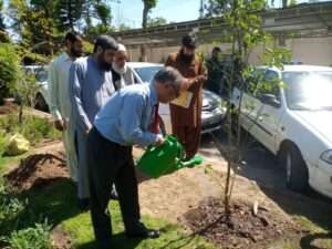 Ahmar Ellahi, Accountant General of Pakistan Revenues planting a tree